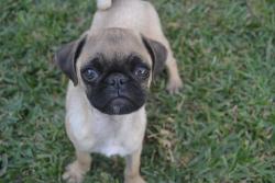 marianaelosua's picture