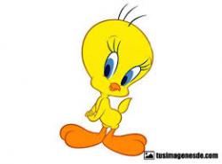 Guillozg97's picture