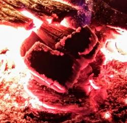 stellaluceat's picture