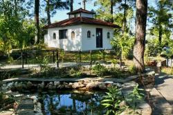 IndianVIsa's picture