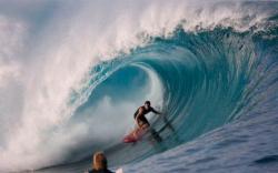 gabrielrotch's picture