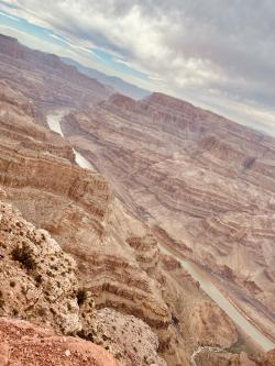 Rottenguava's picture