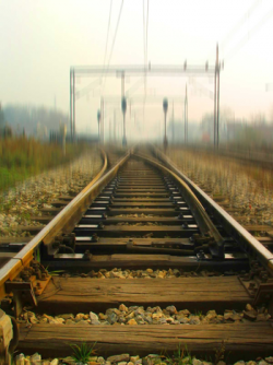 calculigirl03's picture